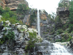 Talakona Waterfalls